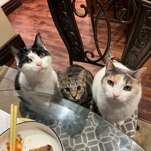 Meet your Posher, Noemi